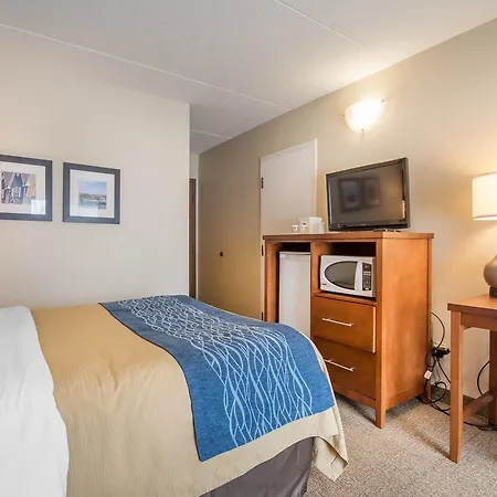 Comfort Inn Bathurst Exterior photo
