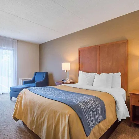 Comfort Inn Bathurst Exterior photo