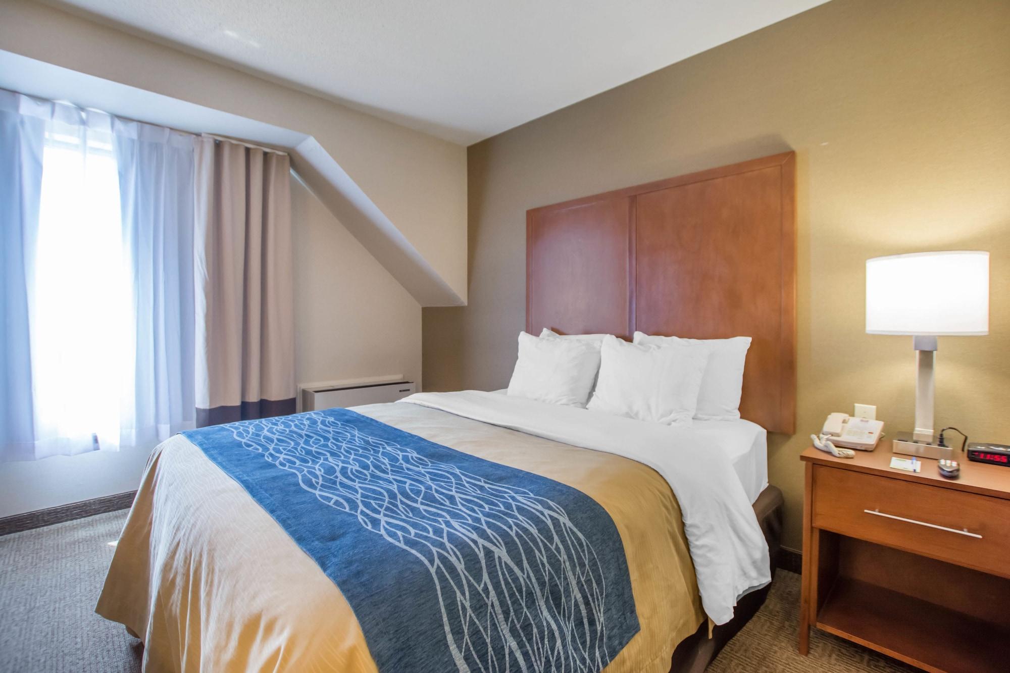 Inn Comfort Bathurst